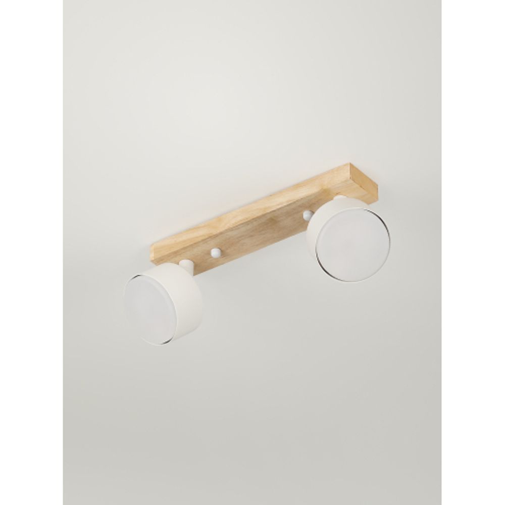 Светильник настенно-потолочный спот Rivoli   7078-702 2хGX53 15 Вт поворотный