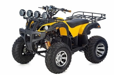 Квадроцикл RAPTOR Max Pro 250 (жёлтый/чёрный) (2024)