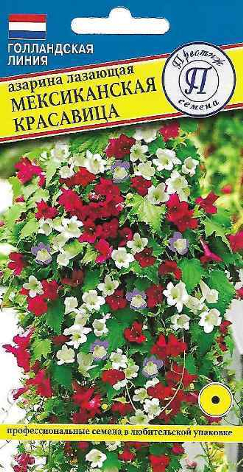 Азарина Мексиканская красавица Престиж