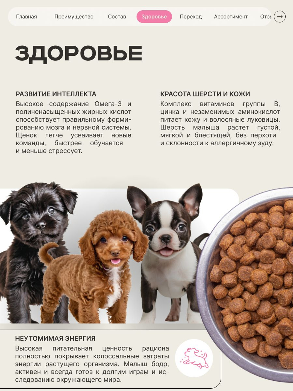 Корм сухой для щенков породы Кане корсо, с говядиной, 12 кг, QUATTRO