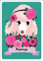 ИГРА. Кот в мешке. Время играть!