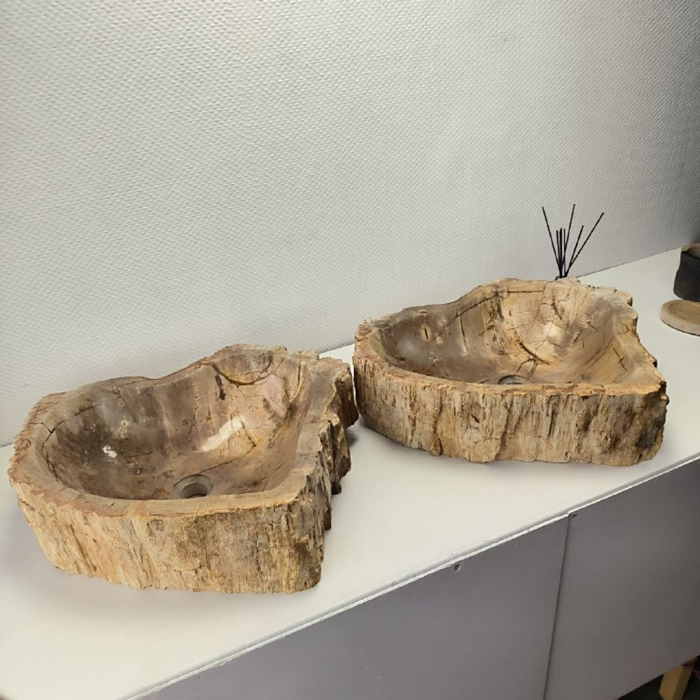 Раковина из окаменелого дерева ПАРА! OD-62096 55*55*15 2шт