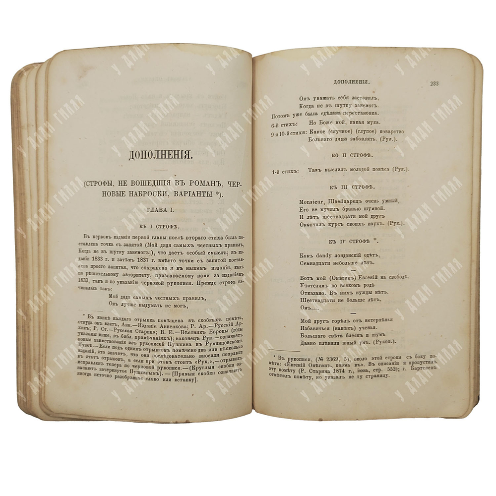 Пушкин А. С. Евгенией Онегин, 1887г.