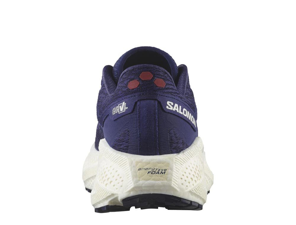 Кроссовки для бега женские Salomon Aero Glide 3 GRVL W Фиолетовые
