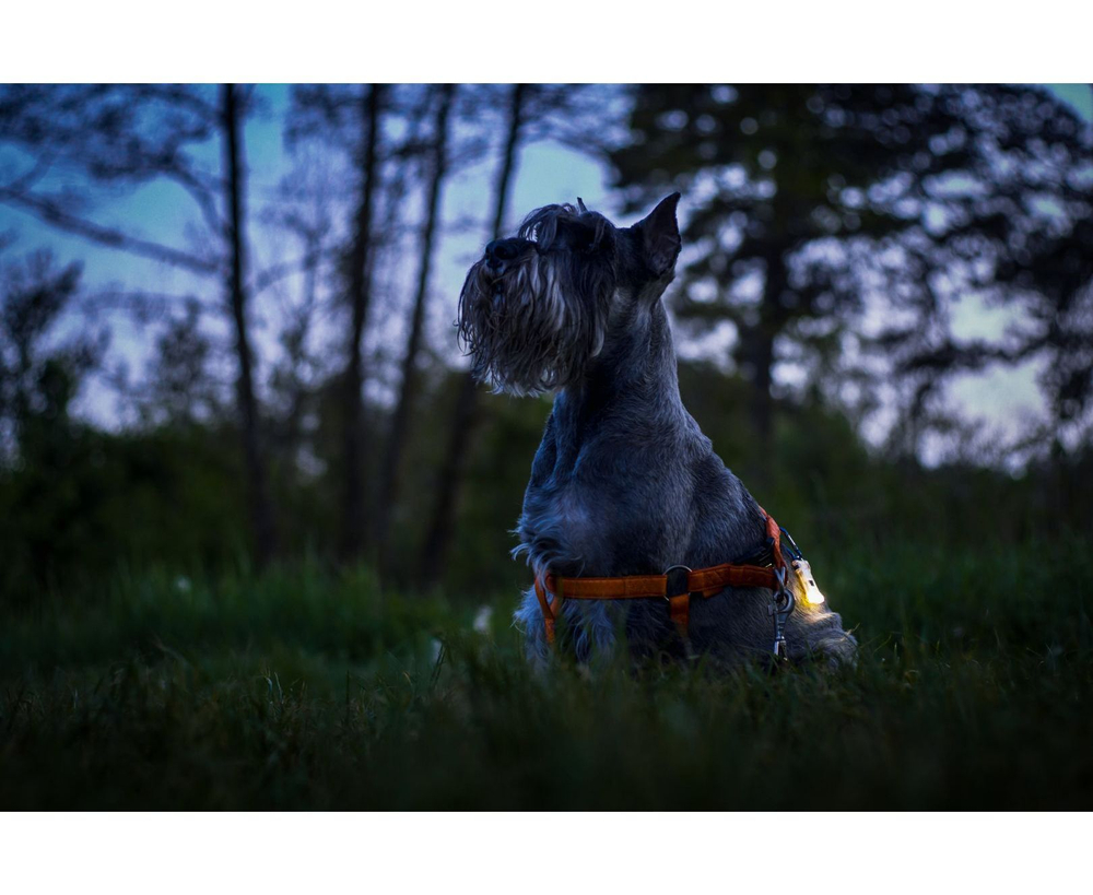 Наключный фонарь ARMYTEK ZIPPY RED RUBY