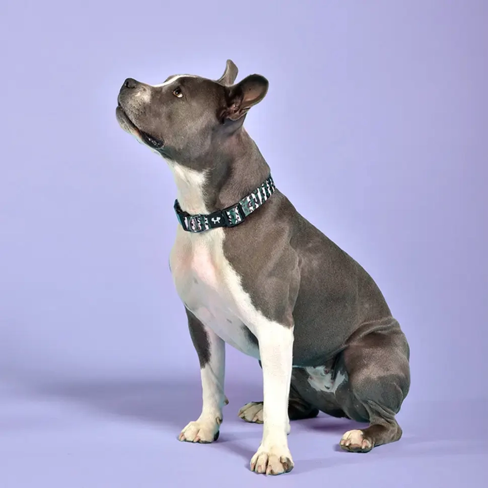 United pets complete me ошейник для собак, m 34-56/2 см, розовый камуфляж