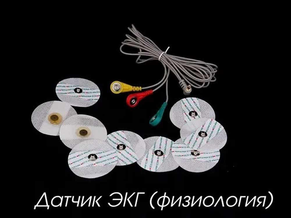 Цифровая лаборатория по биологии (для учителя)