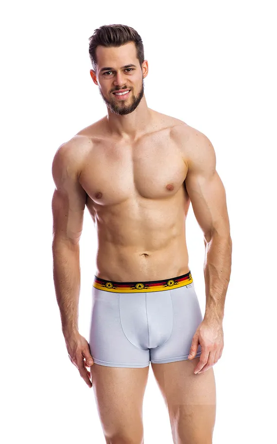 Мужские трусы BB33 Серый