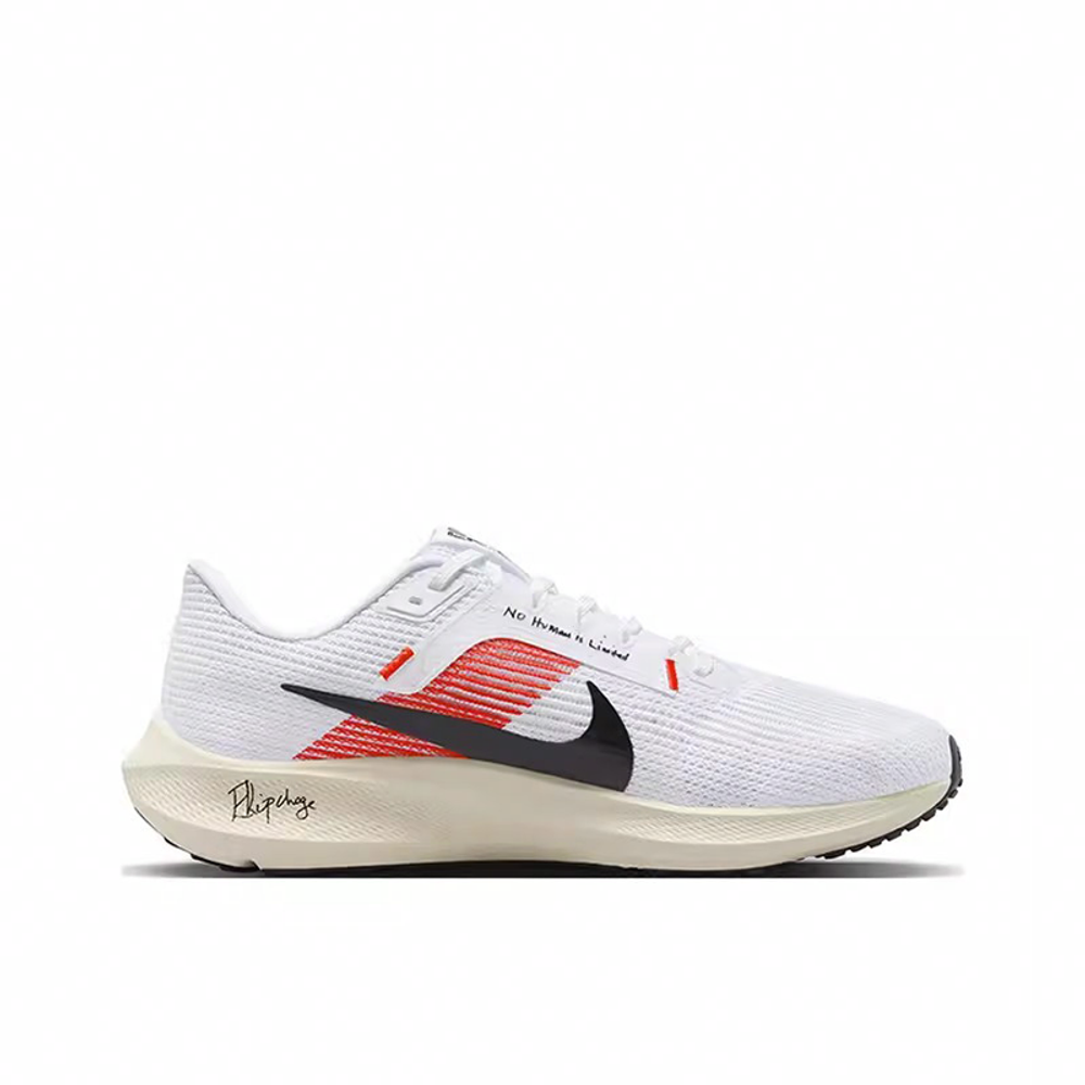 Кроссовки Nike Air Zoom Pegasus 40