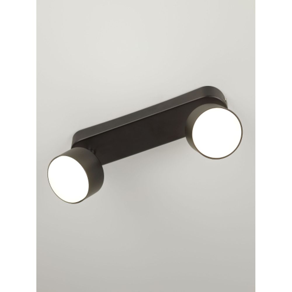 Светильник настенно-потолочный спот Rivoli Alesta 7079-702 2хGX53 15 Вт поворотный | Rivoli