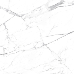 Carrara Terrific Silver Керамогранит белый 60х60 Матовый