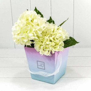 Коробка Ваза градиент "Flowers" с ручками Розовая/Голубая