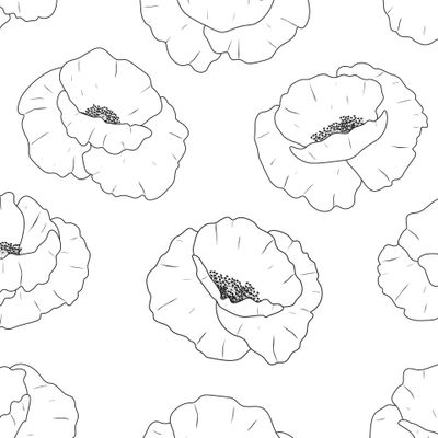 Цветы маки черно-белого цвета. Полевые цветы. Прованс