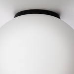 Citilux RON CL941D20B5 Потолочный светильник Чёрный