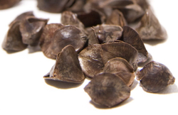 Подушка с наполнителем из гречишной лузги