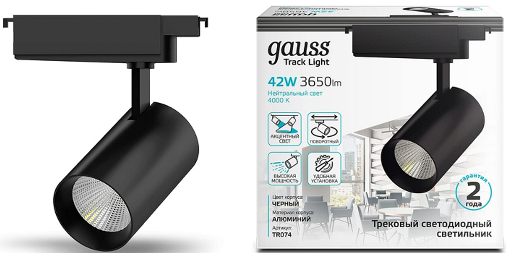 Светильник  Gauss TR074