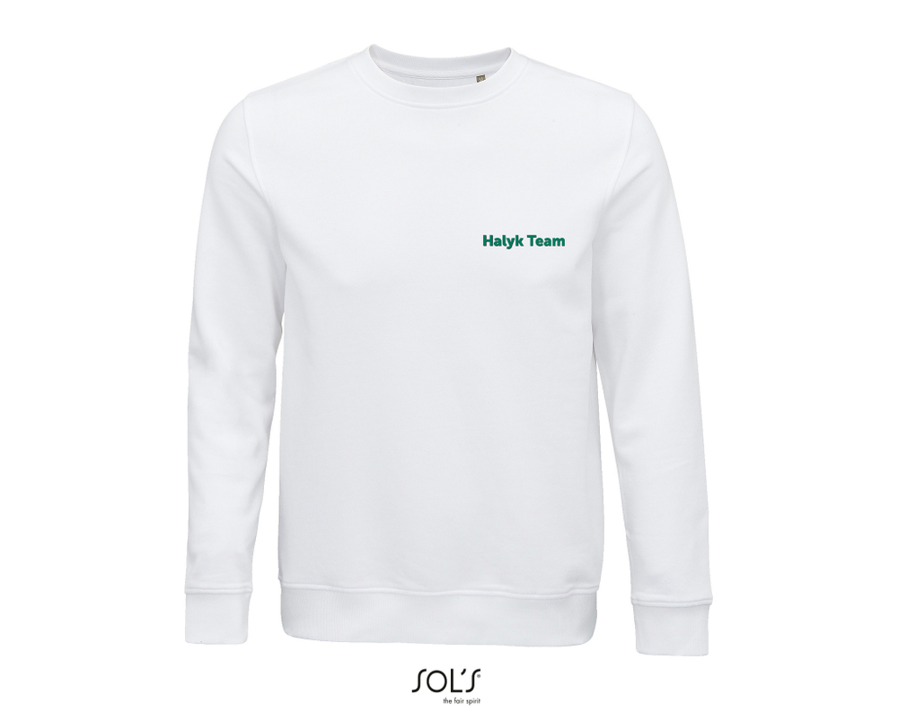 Свитшот Halyk Team COMET
