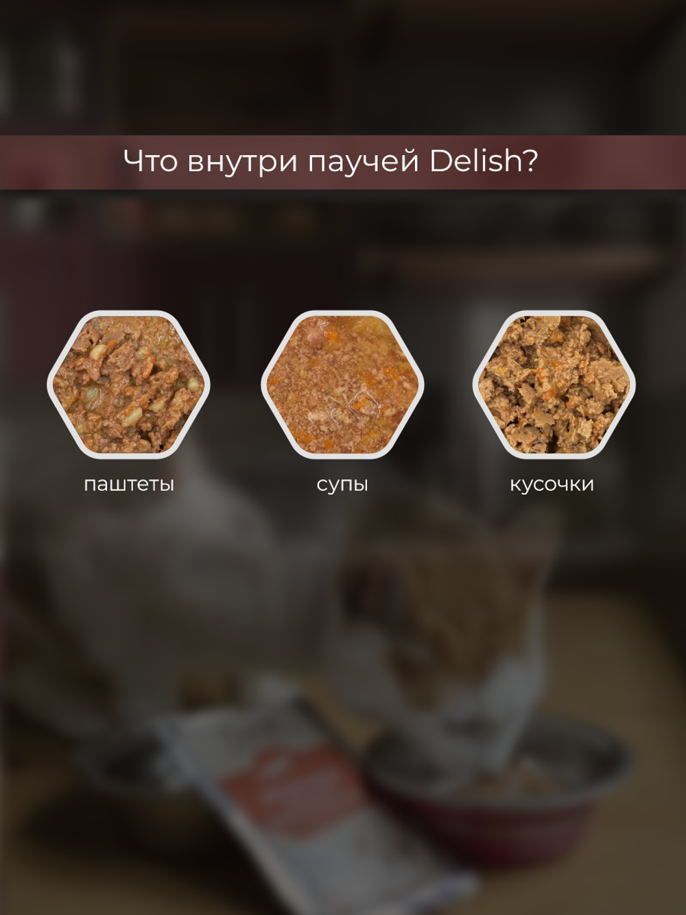 НАБОР Консервы DELISH Super Premium для кошек, говядина/овощи/клюква - 10 шт х 80 гр