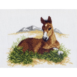 "Жеребенок"-0564 канва с рисунком
