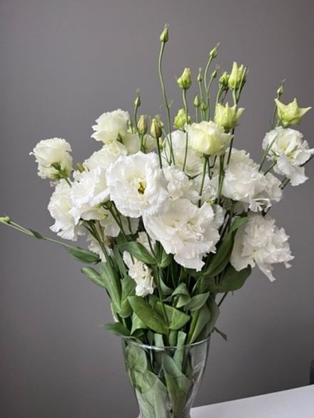 Эустома белая