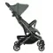 Прогулочная коляска Pituso Q5 Dark Olive