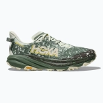 Кроссовки для бега HOKA Speedgoat 6 GTX sea flass/fern