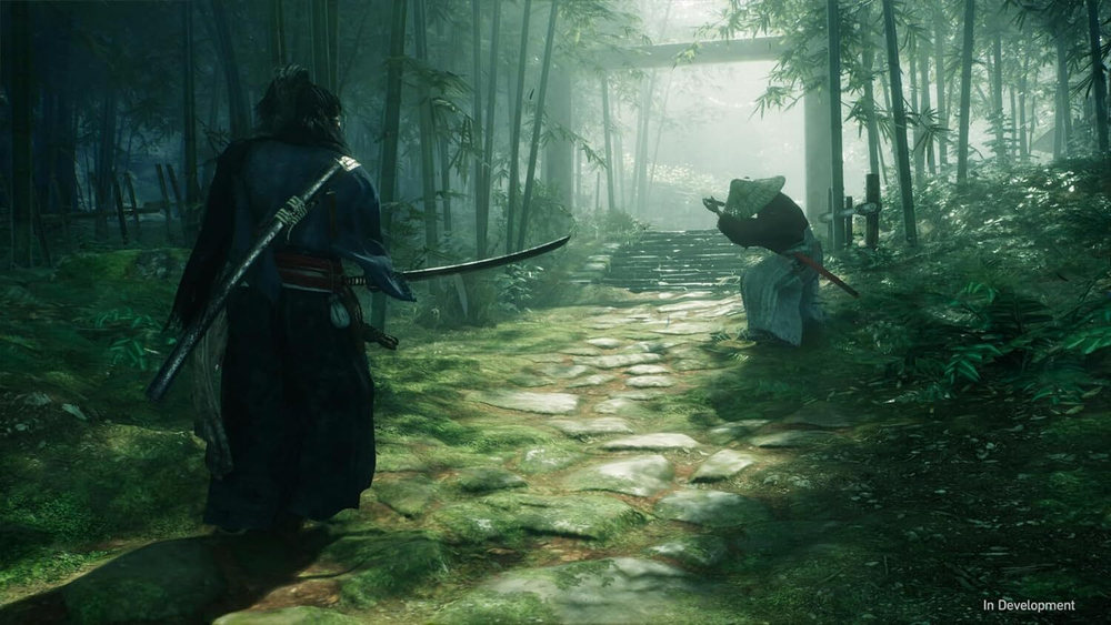 Rise of The Ronin (диск для PS5, интерфейс и субтитры на русском языке)
