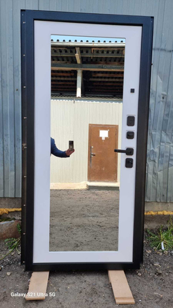 Входная металлическая дверь с зеркалом RеX (РЕКС) Граф кварц черный /  Пастораль зеркало Силк сноу, белый матовый, без текстуры