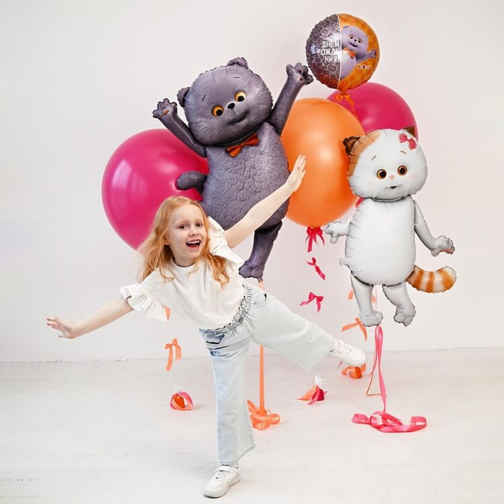 Шар Кот Басик