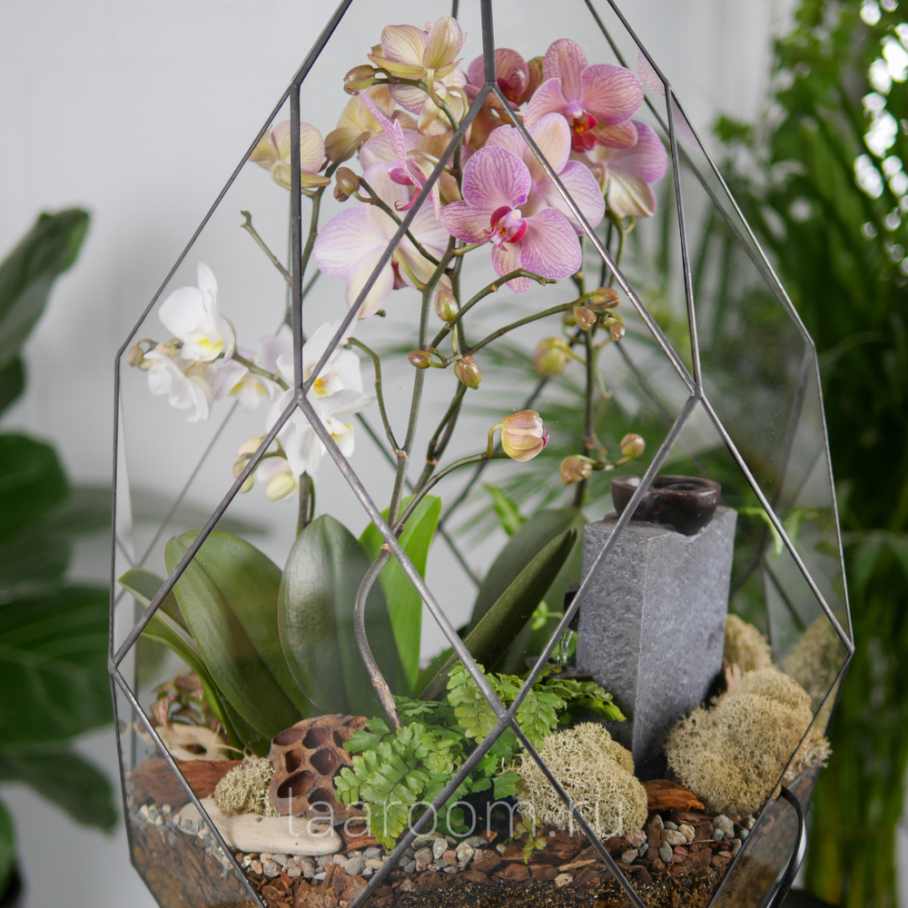 Флорариум с орхидеей и водопадом Будда Фаберже