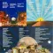 Manu Chao - Viva Tu LP