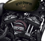 25700600 Крышки цилиндров Harley-Davidson-30%