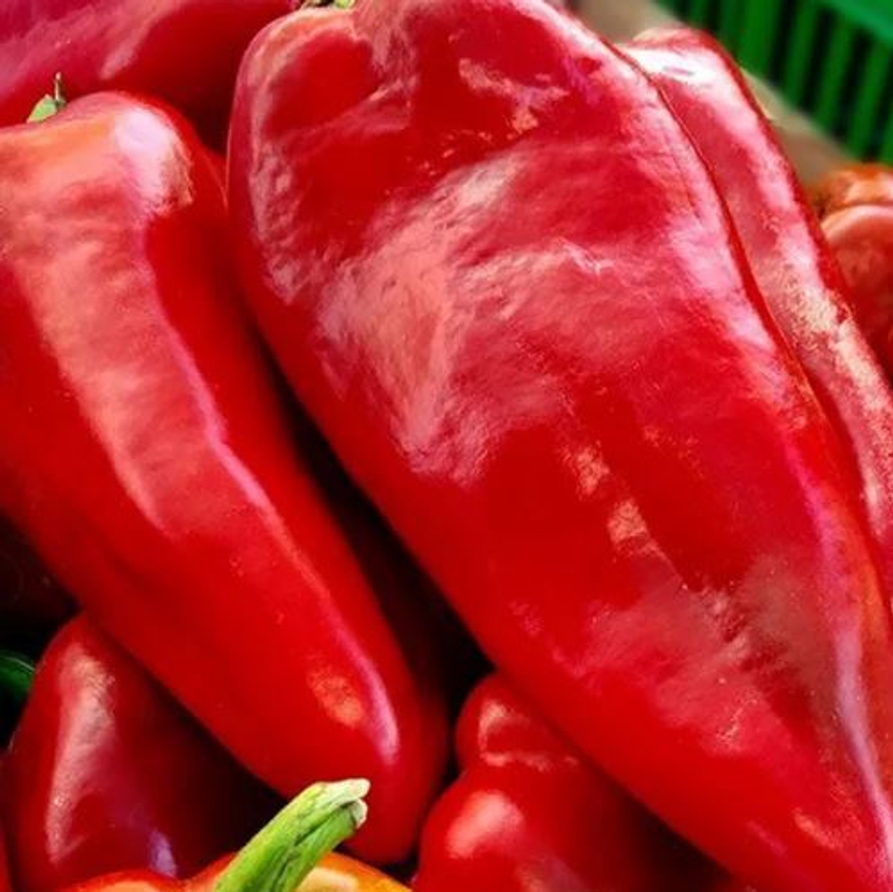 Перец сладкий Каптур F1 (Seminis / Семинис) 5шт.