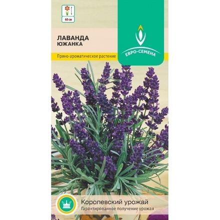 Лаванда ЮЖАНКА