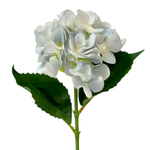 Гортензия голубая 66 см