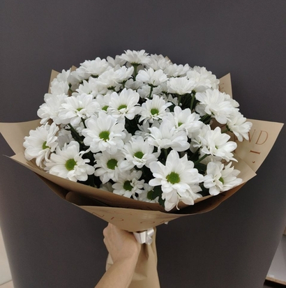 Белоснежка (7 хризантем)