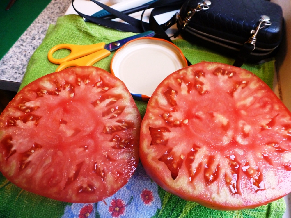 Помидоры - Gigantesque — Гигантисика