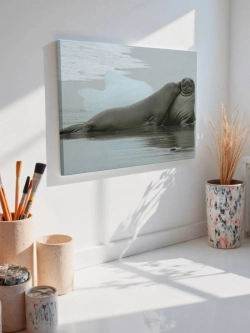 Картина на стену 40 X 50 Тюлени