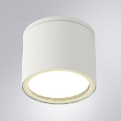 Уличный потолочный светильник Arte Lamp