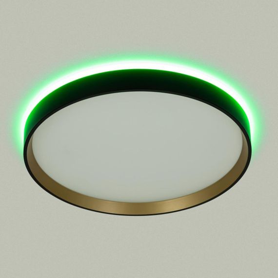 Светильник с пультом Citilux ETALON CL750321R