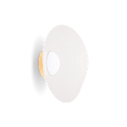 Настенный/Потолочный светильник Melt LED Surface Opal/Gold