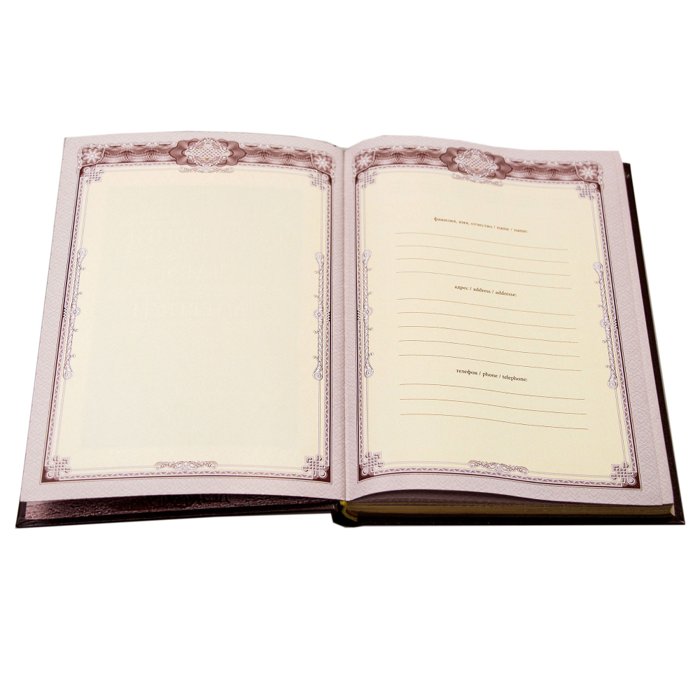 Ежедневник А5 «Фемида-2»  с накладкой покрытой никелем