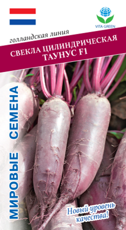 Свекла цилиндрическая Таунус F1 1 гр Мировые Семена VITA GREEN