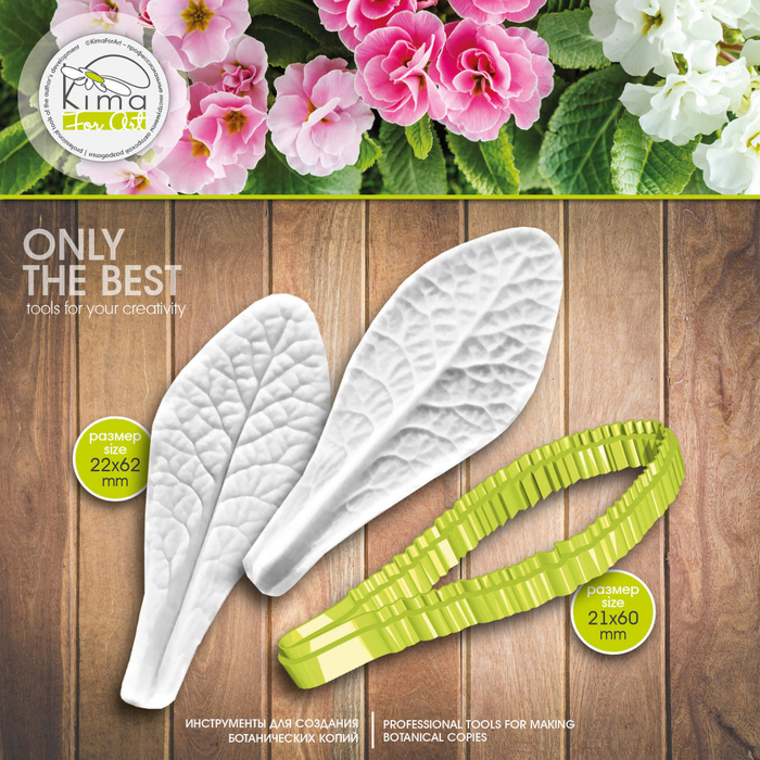 Примула лист маленький