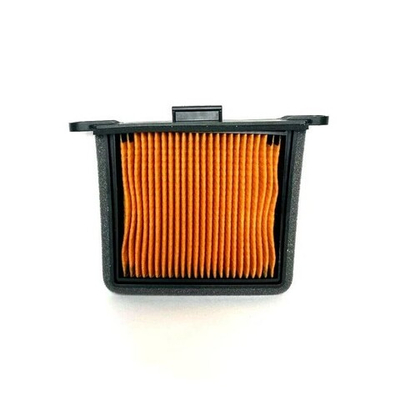 Triumph Фильтр воздушный LHS T2206530