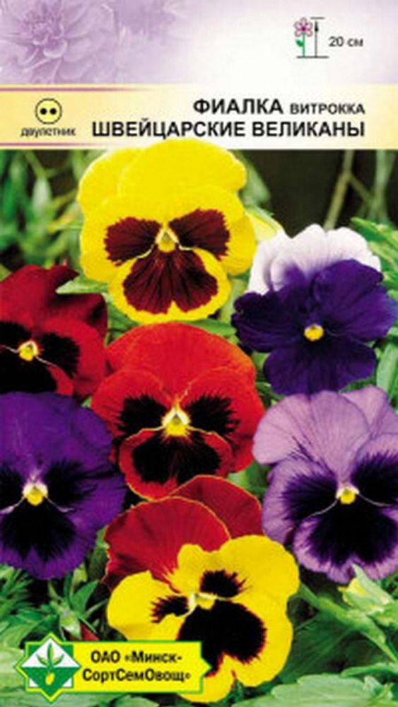 Фиалка витрокка "Швейцарские великаны" 0.1г, Германия. Фиалка витрокка "Швейцарские великаны" 0.1г, Германия.