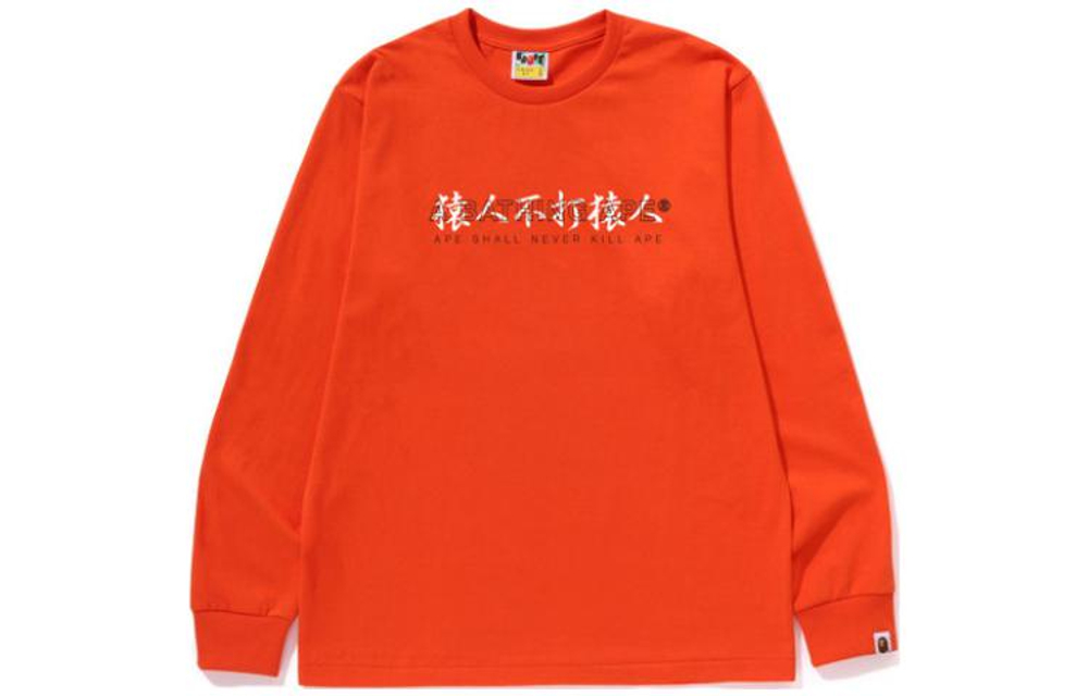 A Bathing Ape Kanji Logo Asnka L S Tee