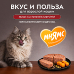 Влажный корм консервы для кошек Деликатес "Паштет по-оксфордски" индейка с тыквой Мнямс 0,1кг 16 шт