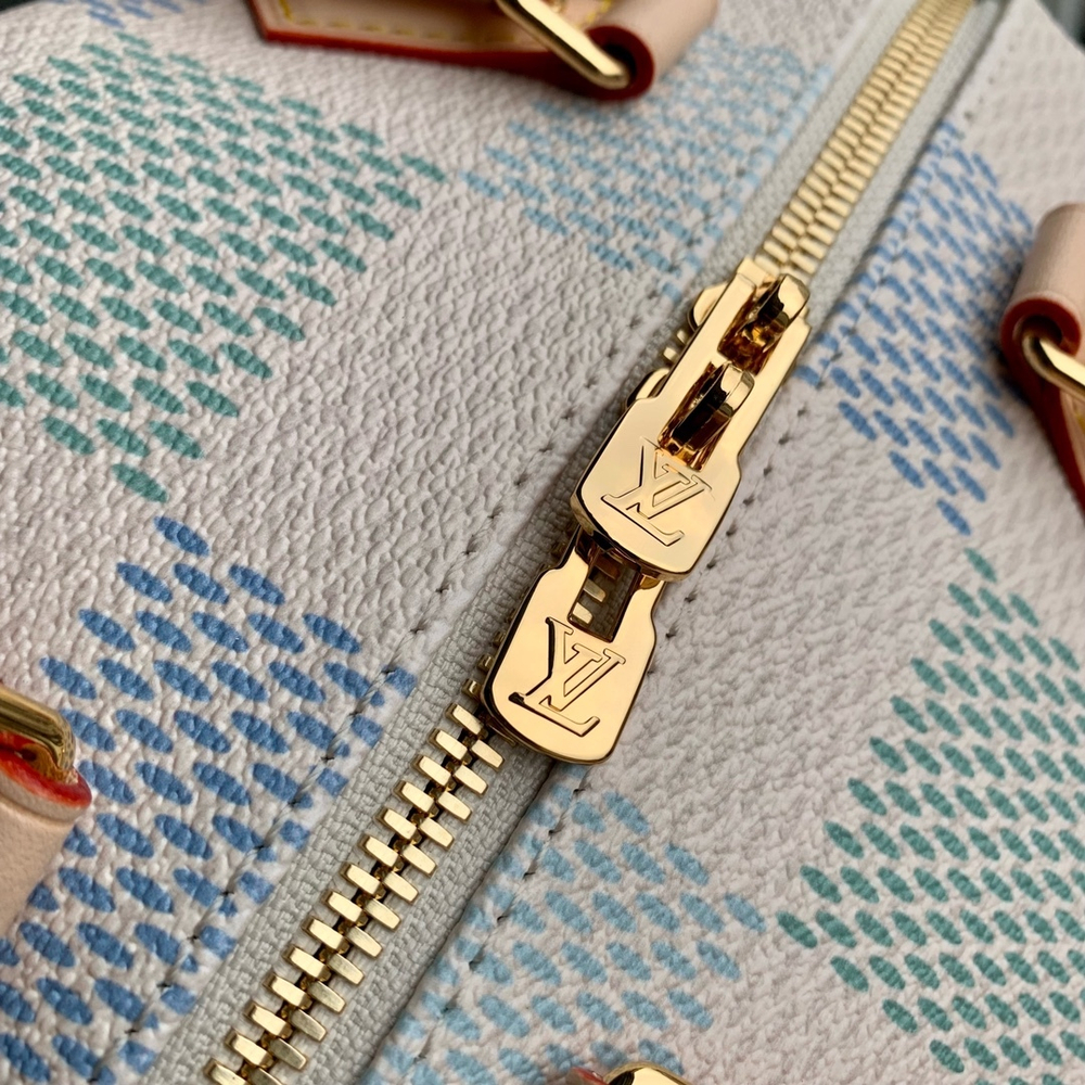 Louis Vuitton Speedy 20