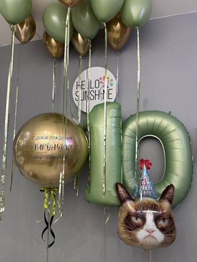 Набор шаров с недовольным котом